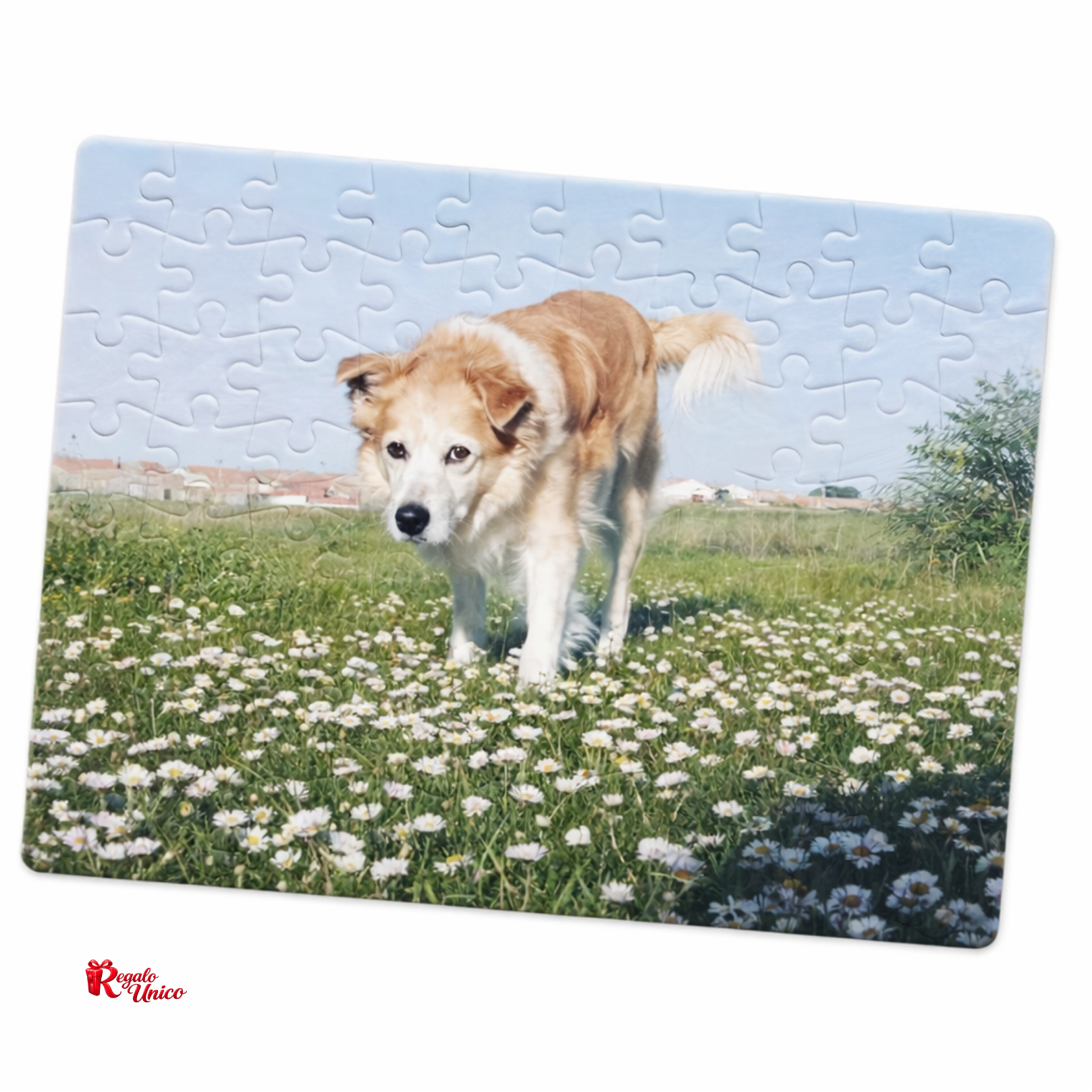 Puzzle de 80 o 120 piezas