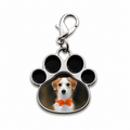 Llavero placa identificativa pata mascota